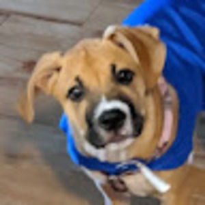 Meet your Posher, Jon